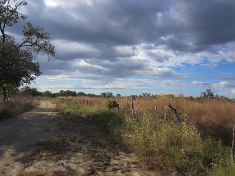 Subdivided 47 Acre Development Land for Sale in Liberia • Costa Rica