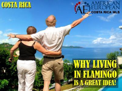 Why Living in Flamingo is a Great Idea!