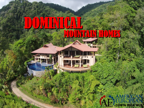 Dominical real estate