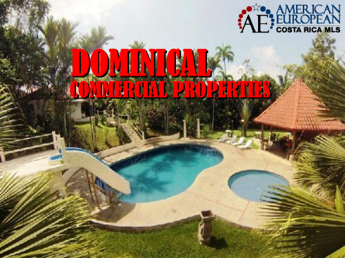 Dominical real estate