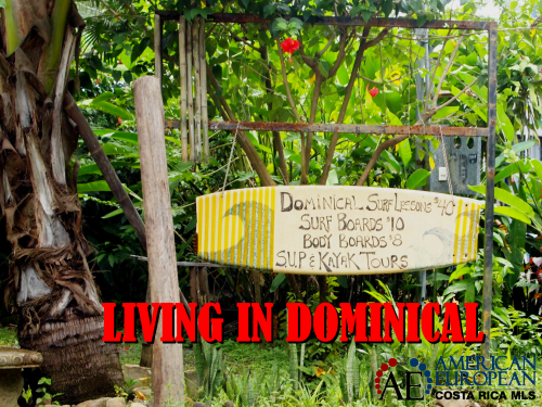 Dominical real estate