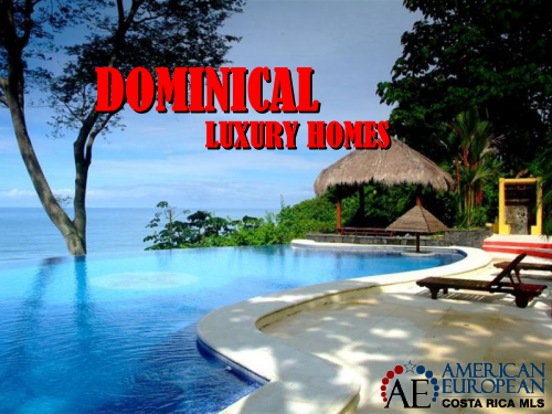 Dominical real estate
